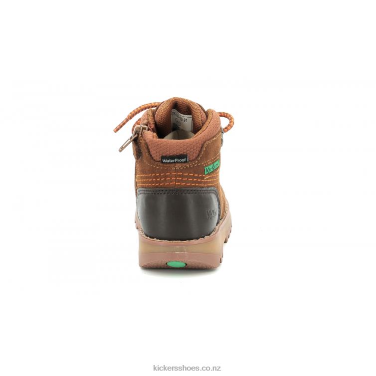 Kickers Kids Kicknature Brown Orange NPZDR816