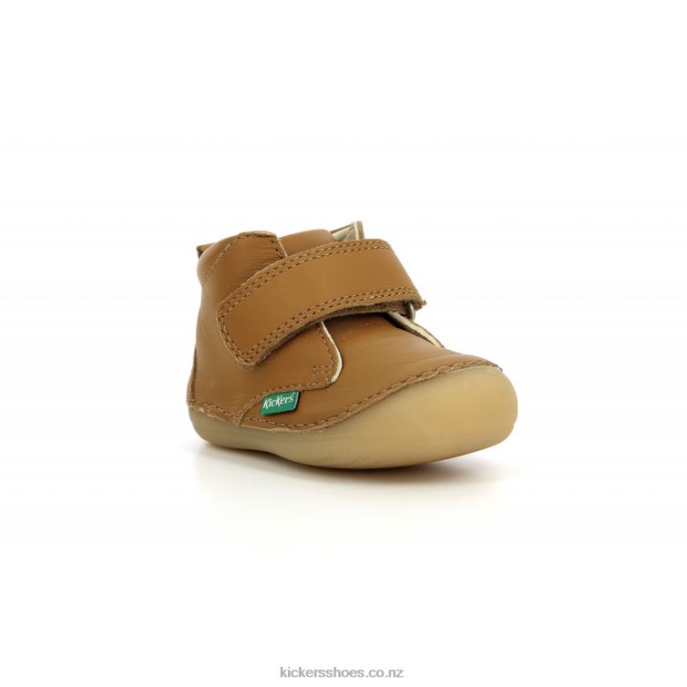 Kickers Kids Sabio Camel NPZDR792