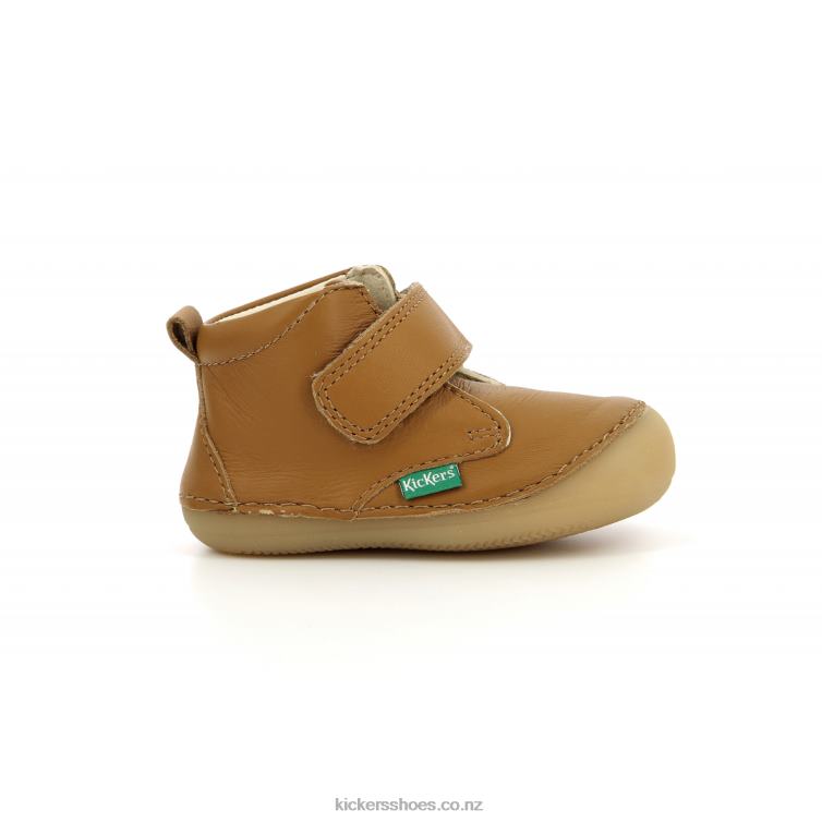 Kickers Kids Sabio Camel NPZDR792