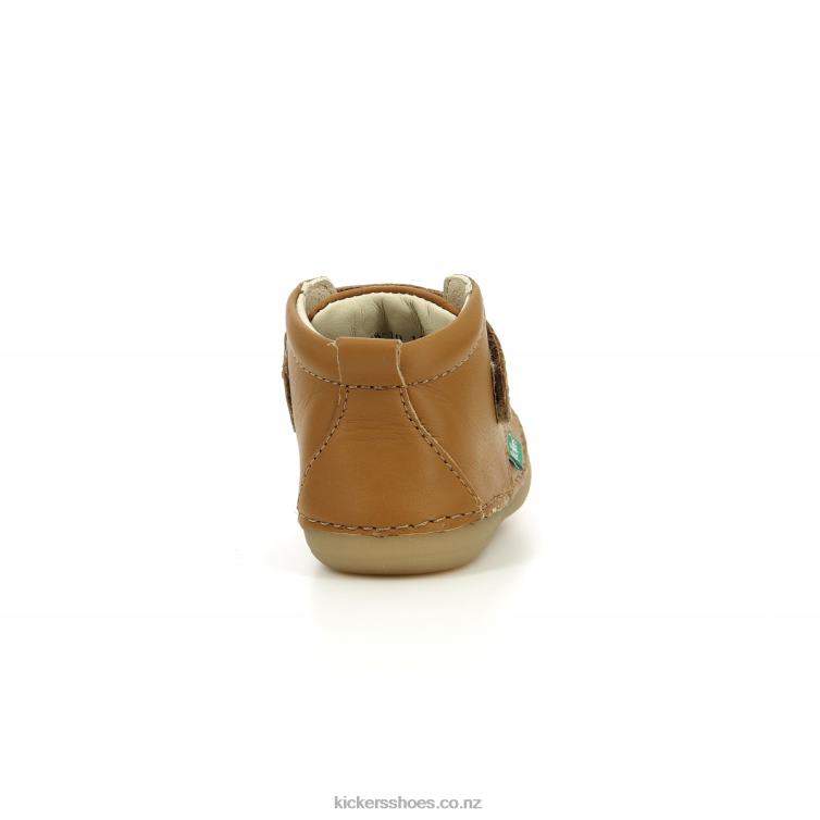 Kickers Kids Sabio Camel NPZDR792