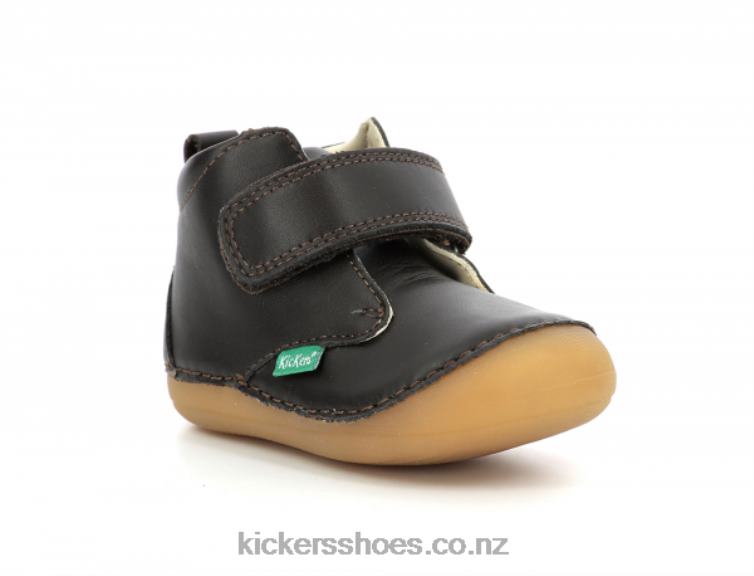 Kickers Kids Sabio Dark Brown NPZDR790