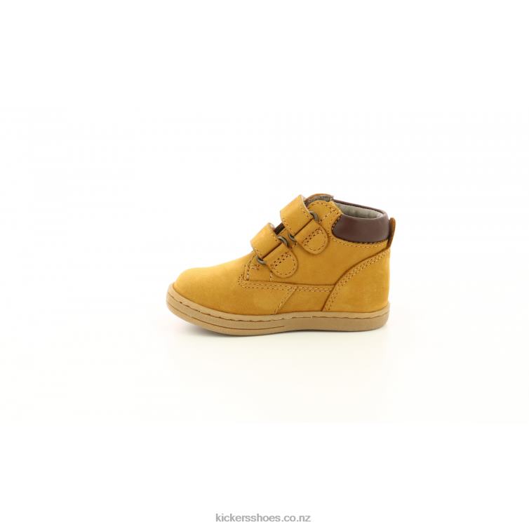 Kickers Kids Tackeasy Camel NPZDR845